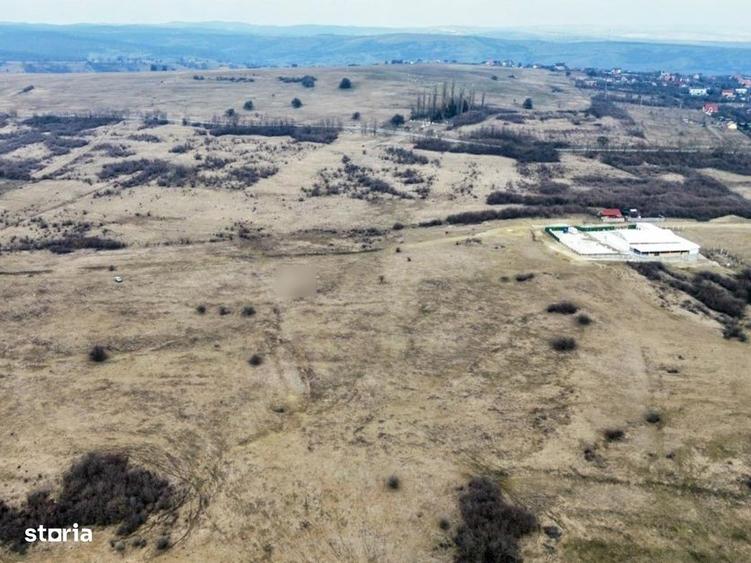 Teren extravilan Dealul Daii Sibiu-67000mp - 3