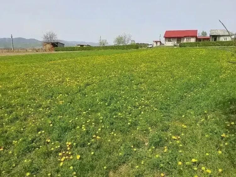 Teren de 2160 mp, în Mărăști