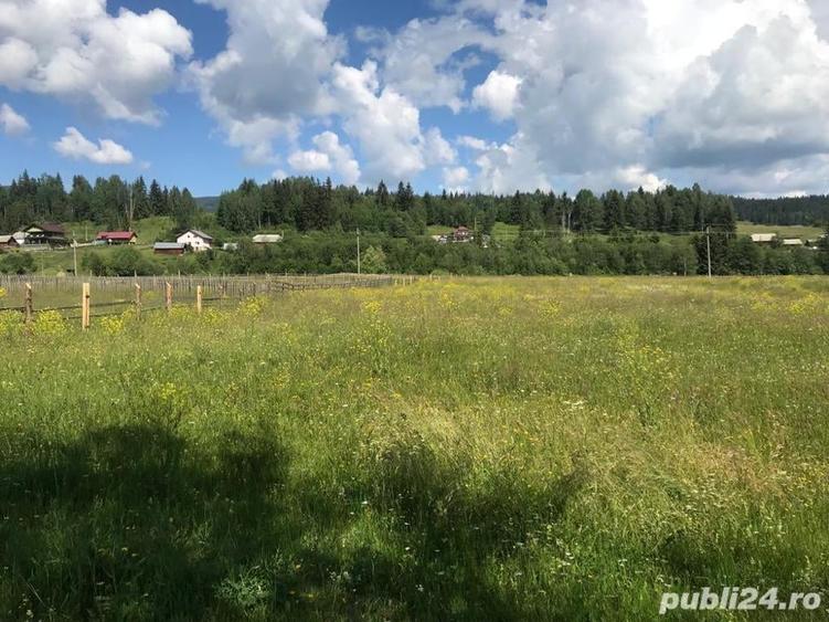 Teren de 10000 mp, în Șaru Dornei