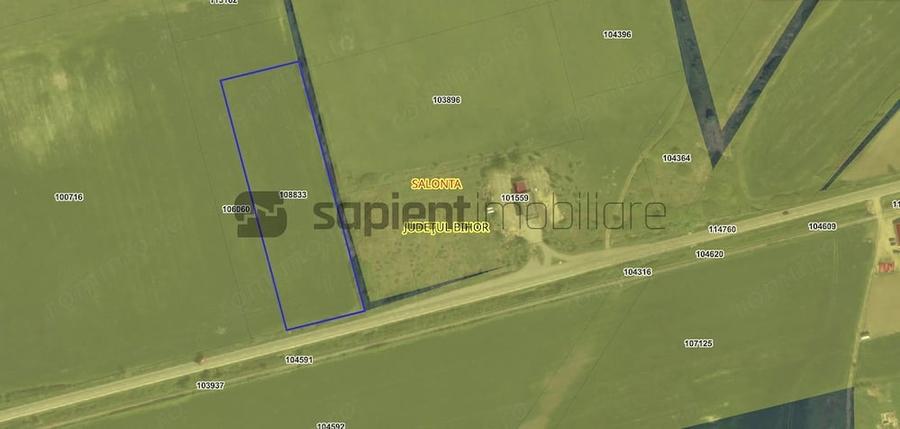 Teren de 11600 mp, în Sud