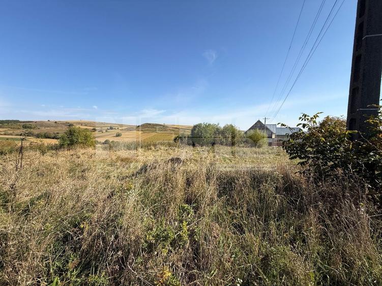 Teren Construcții intravilan de 4000 mp, în Burla