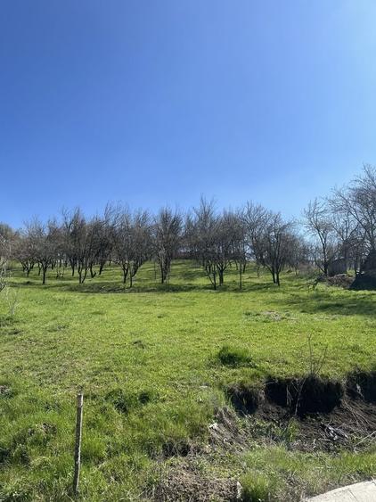 Teren de 2250 mp, în Aluniș