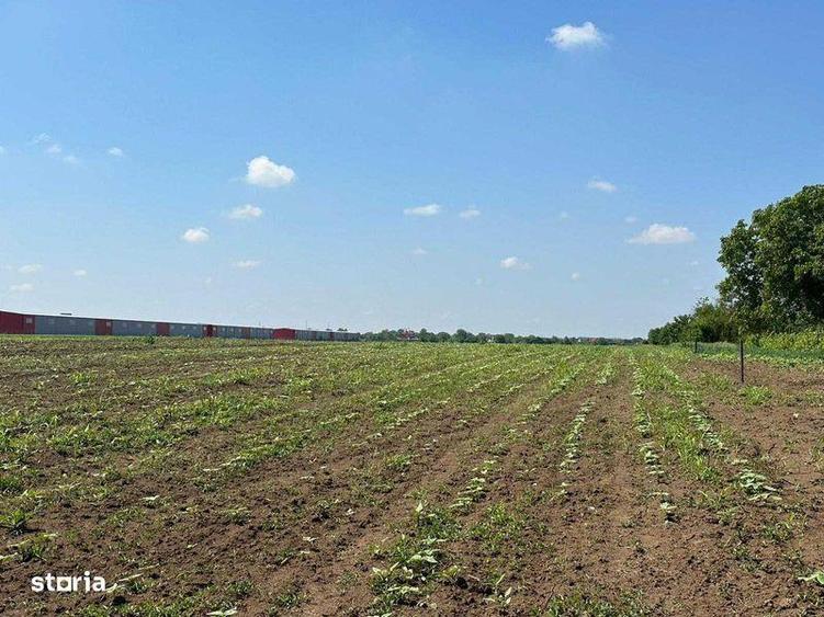 Teren de 7500 mp, în Găneasa