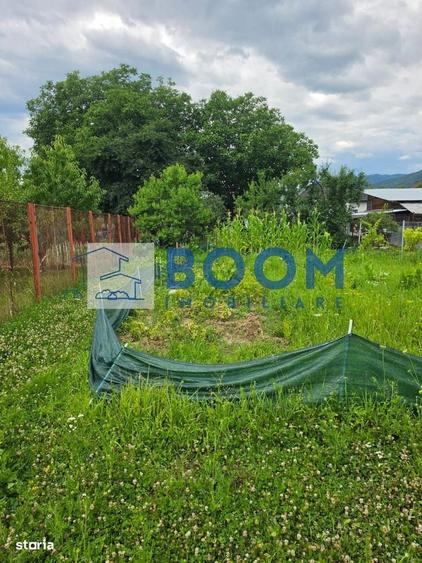 Casă cu 3 camere în Jiblea Veche
