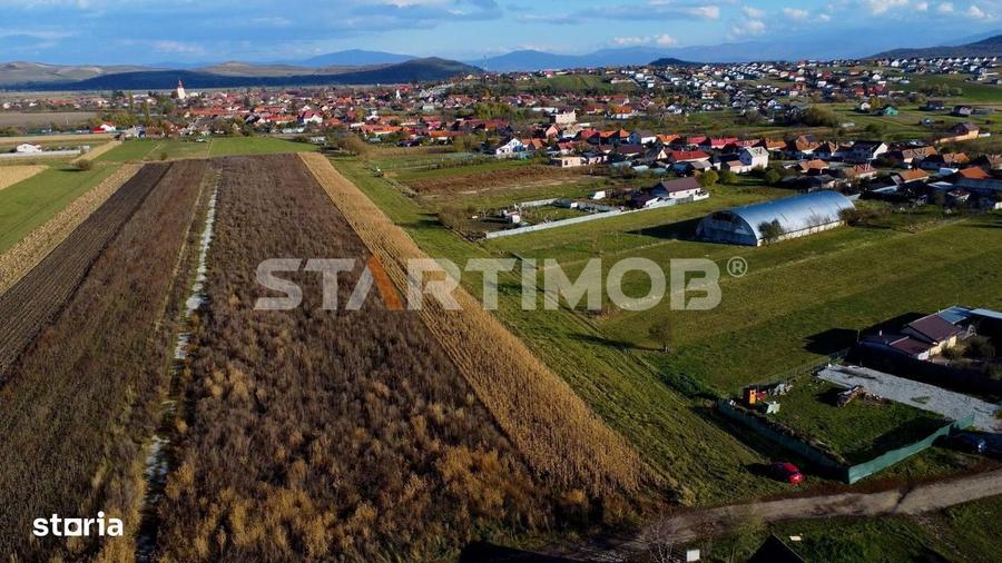Teren de 3000 mp, în Bod