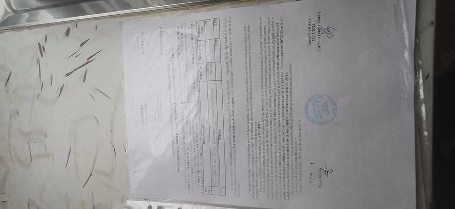 Teren de 1021 mp, în Cordău