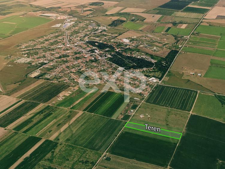 Teren agricol intravilan de 23000 mp, în Buziaș