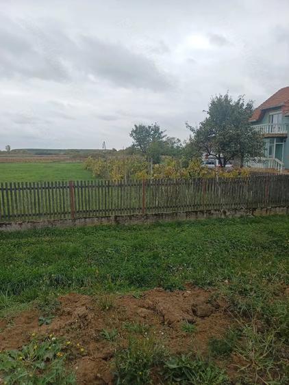 Teren de 1330 mp, în Cionchești
