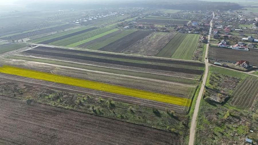 Teren de 10000 mp, în Gulia