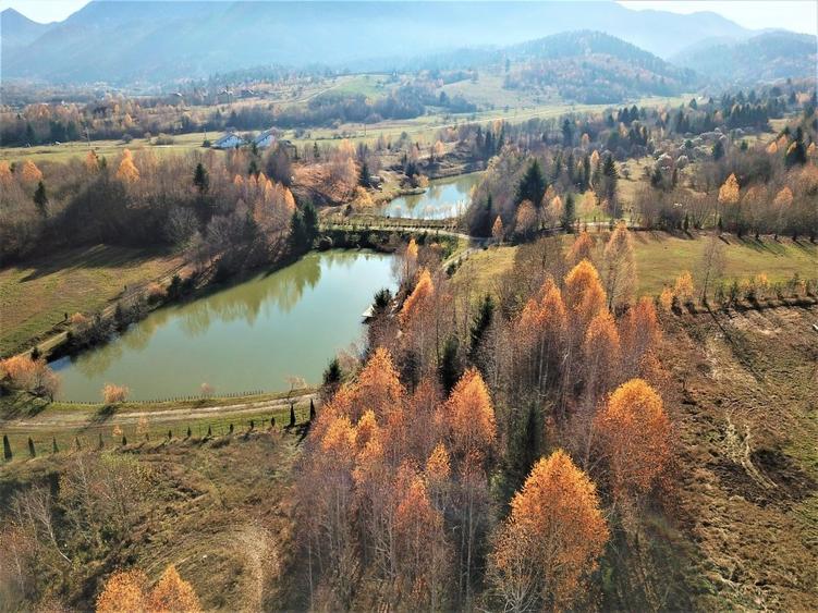 Teren Construcții intravilan de 22833 mp, în Glăjărie