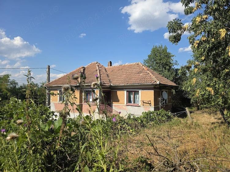 Teren de 3211 mp, în Vechea