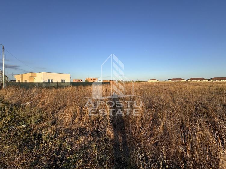 Teren Intravilan | 706mp | Front 16ml | Zona Mosnita Noua - 1