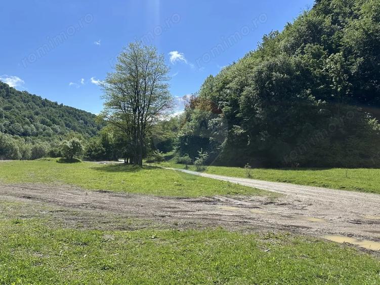 Teren de 1340 mp, în Cuejdiu