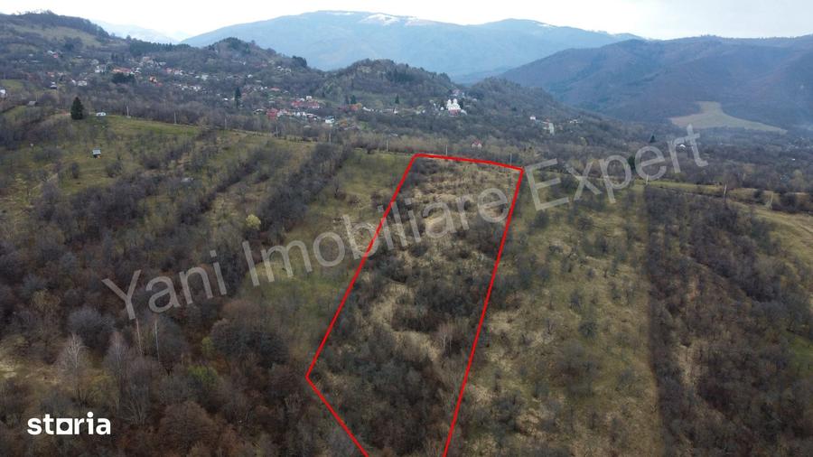 Teren de 14328 mp, în Nucșoara