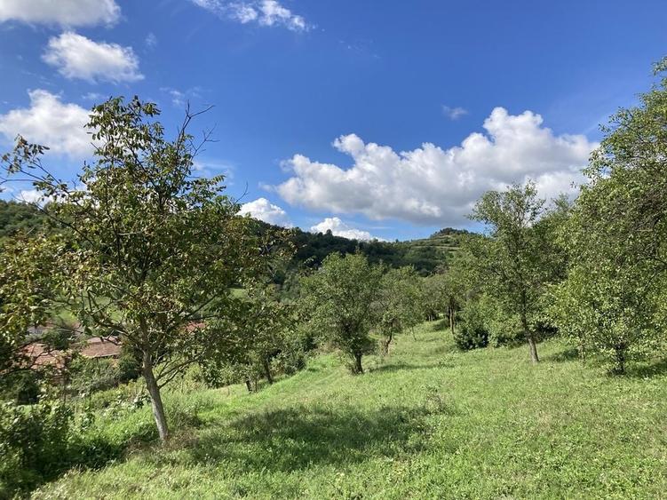 Teren de 1053 mp, în Ampoița