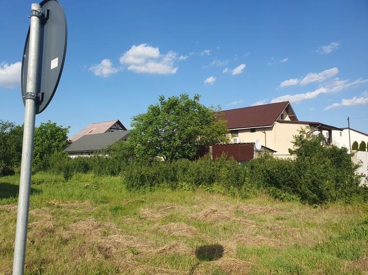 Teren de 2019 mp, în Dragomirești-Deal