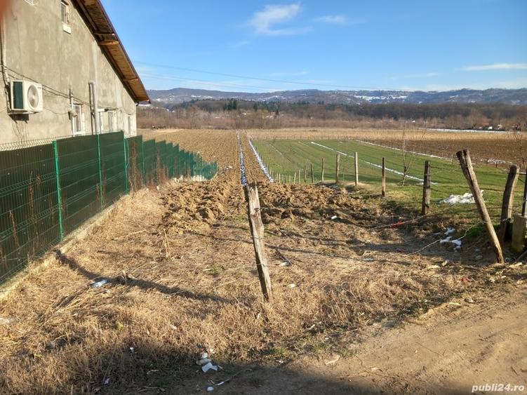 Teren în Mihăești