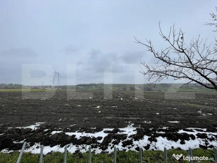 Casă cu 5 camere cu Teren 9300 Mp în Vadu Moldovei