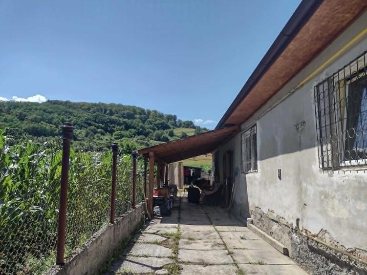 Casă cu 3 camere în Nou