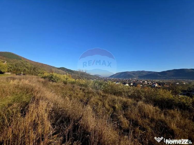 Teren 6,874mp Alexandru cel Bun / Strada plopusor - 4