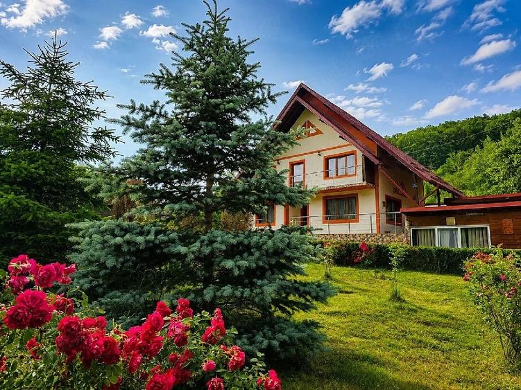 Casă cu Teren 1800 Mp în Enculești