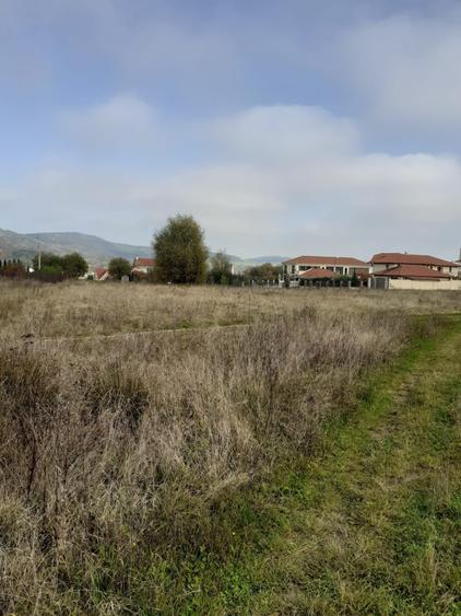 Teren Construcții intravilan de 11300 mp, în Corunca