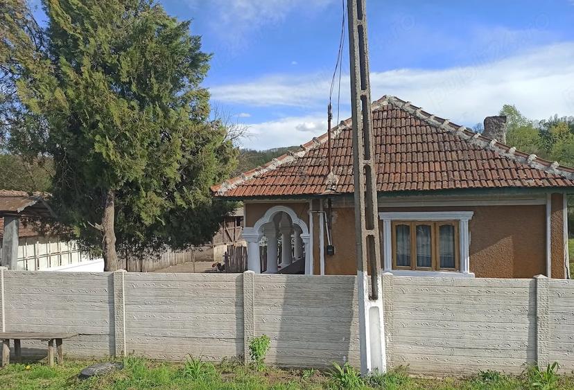 Casă cu Teren 2480 Mp în Păltinișu