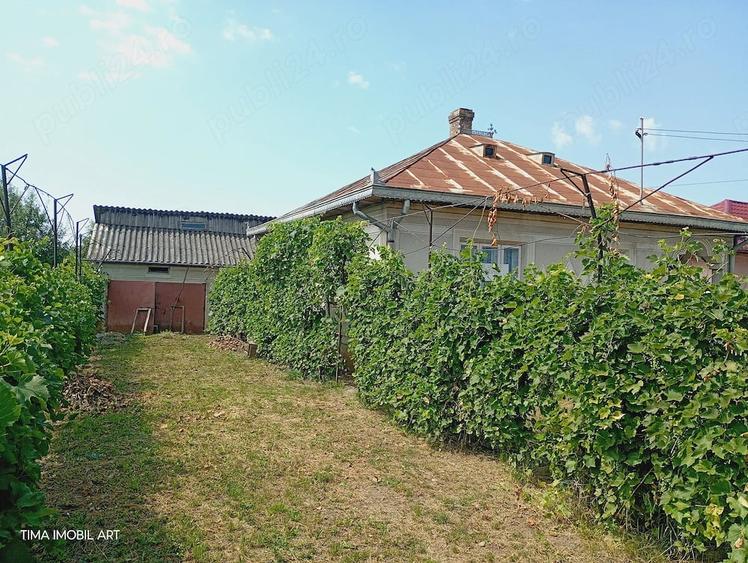 Casă cu 3 camere cu Teren 3800 Mp în Broscăuți