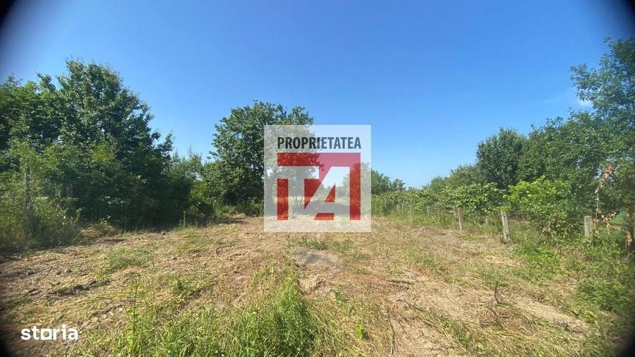 Casă cu 2 camere cu Teren 2300 Mp în Central
