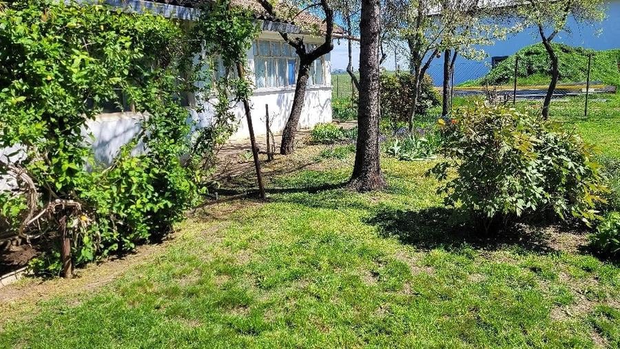Casă cu 4 camere cu Teren 1600 Mp în Orțișoara