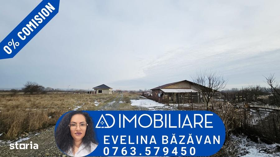 Teren de Vanzare in Turcinesti - 5