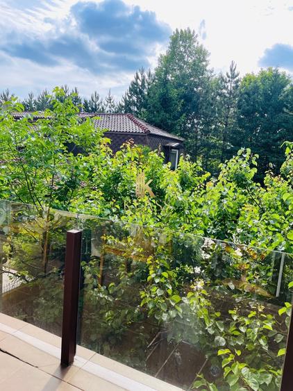 Apartament cu 2 camere decomandat, mobilat în Pipera