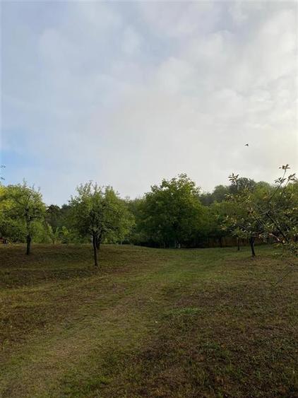 Teren Construcții intravilan de 2282 mp, în Podgoria