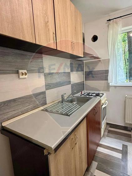 Apartament cu 2 camere de vanzare in zona Drumul Taberei - 4