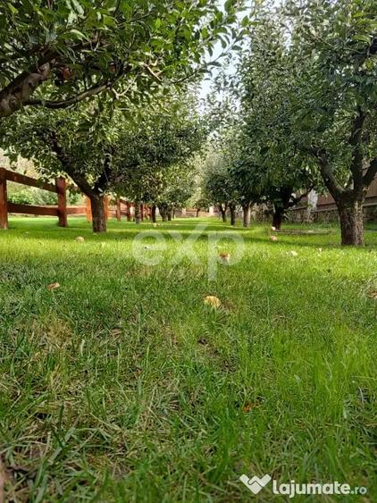 Casă cu 9 camere cu Teren 2000 Mp în Breazu