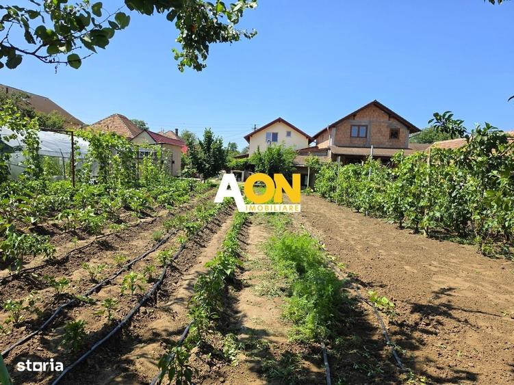 Casă cu 4 camere în Vințu de Jos