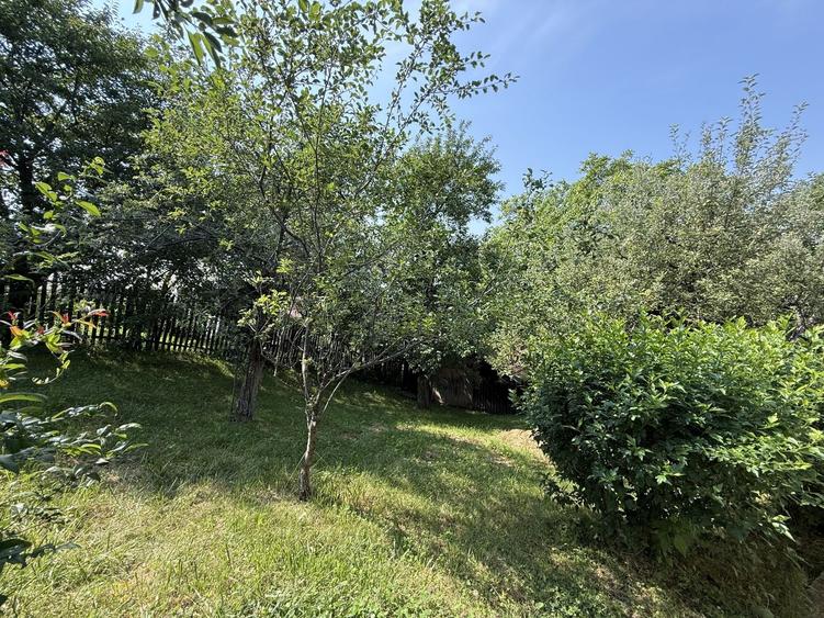 Casă parter+mansarda 80 mp+ teren intravilan 476 mp Sotrile Prahova ! - 35