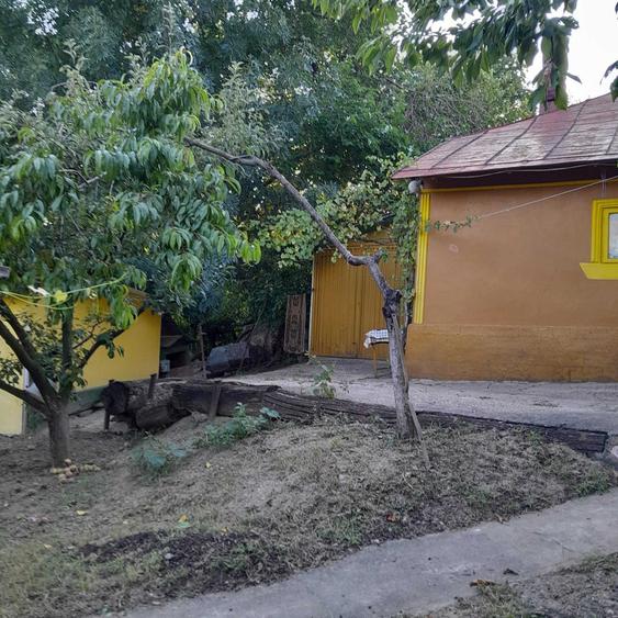 Casă cu 4 camere în Cozia