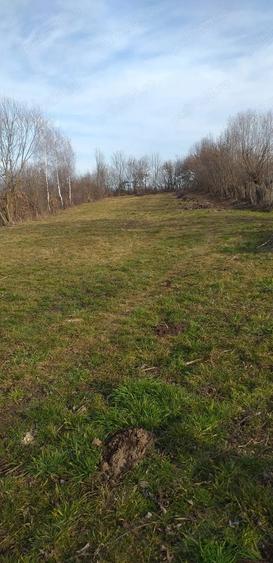 Teren de 2164 mp, în Mărgineni