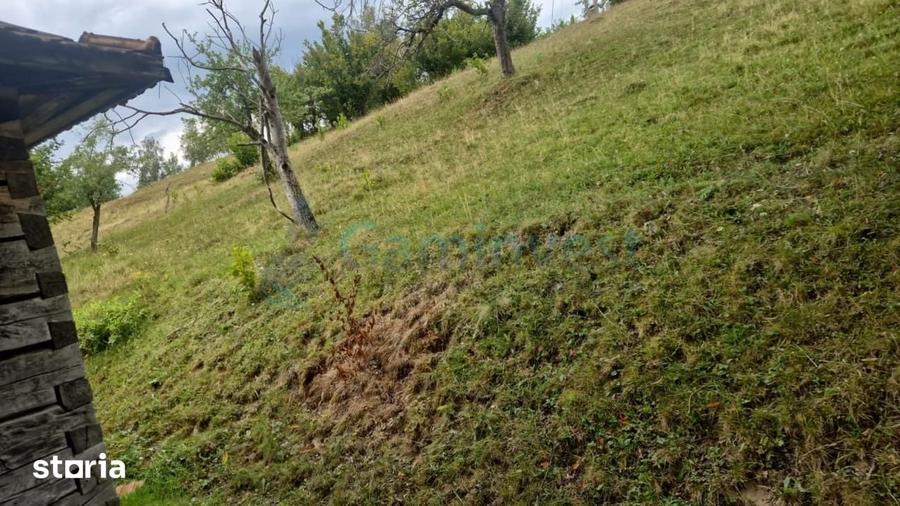 Teren de 26034 mp, în Bulz