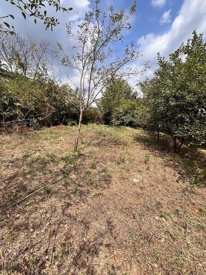 Vila 372 mp + teren 732 mp | Strada Lacului, Ramnicu Valcea - 12