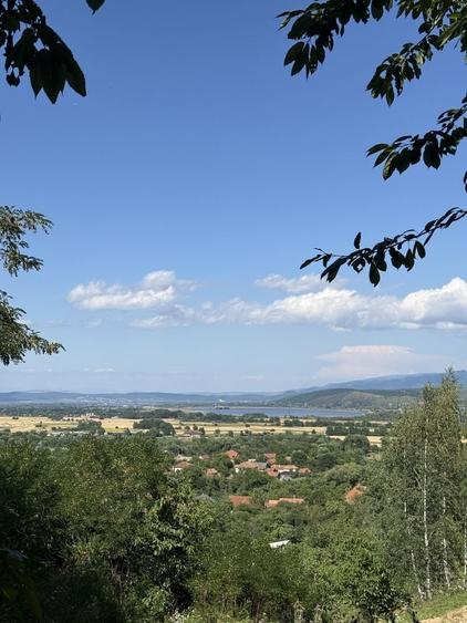 Teren de 4800 mp, în Clopotiva