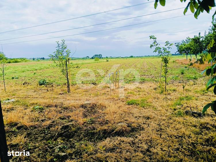 Casă cu 3 camere cu Teren 2029 Mp în Lunca