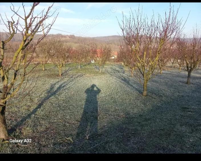Casă cu Teren 1700 Mp în Crivobara