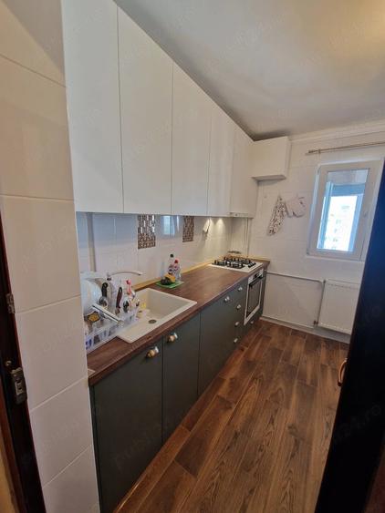 Apartament 2 camere Teiul Doamnei - 2