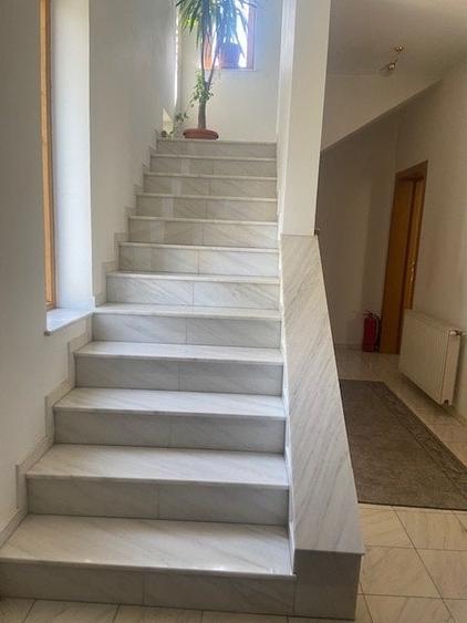 Casă individuală cu 10 camere cu Piscina în Șura Mare