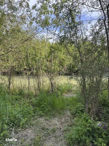 Teren de 500 mp, în Ciorogârla