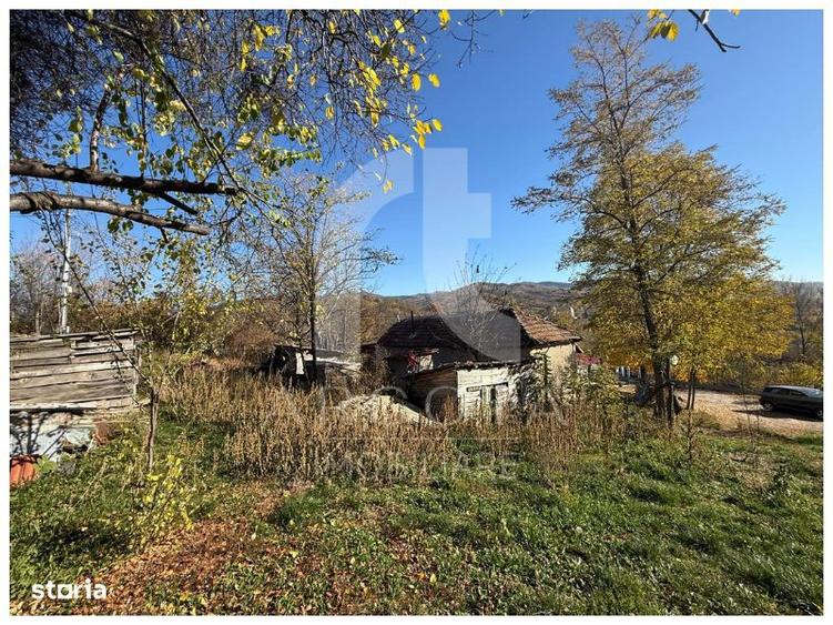 Teren de 3250 mp, în Cozieni