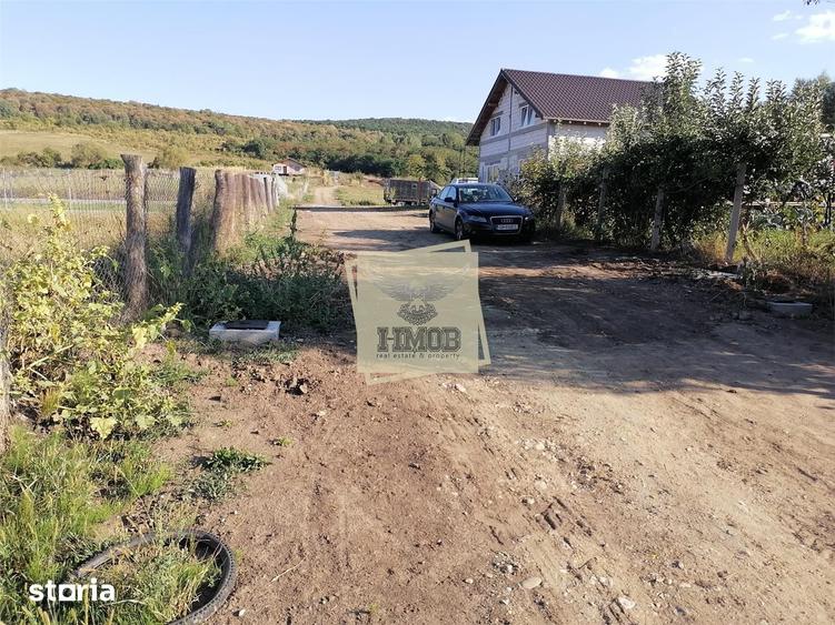Teren intravilan 3500 mp zona Hamba - 11