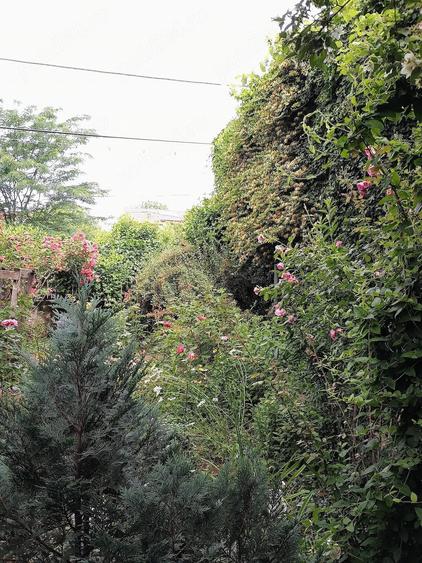 Casă cu 6 camere cu Teren 450 Mp în Berceni